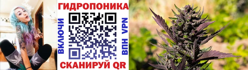 Наркошоп купить Конопля  СОЛЬ  Кокаин  АМФЕТАМИН  Меф мяу мяу  Гашиш  Переславль-Залесский